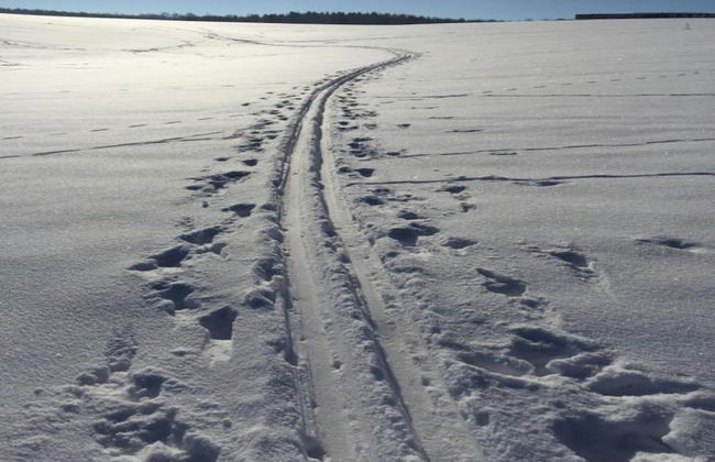 Apartment With Views of the Ore Mountains - Foto 31