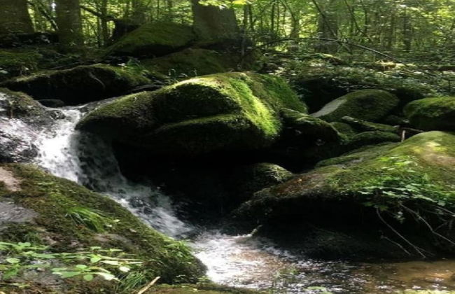 Familienurlaub im Bayerischen Wald - Foto 24
