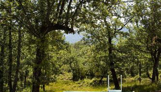 Villa Cinsault, un bijou pour votre séjour en Provence Verte - Foto 5