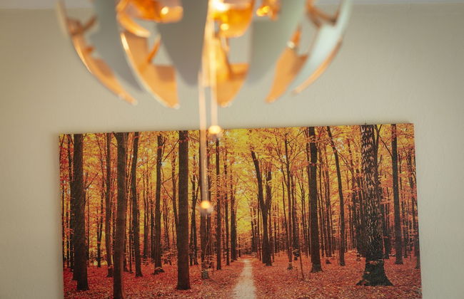 Sunnyside Cottage 5 Mins to St Andrews - Foto 12