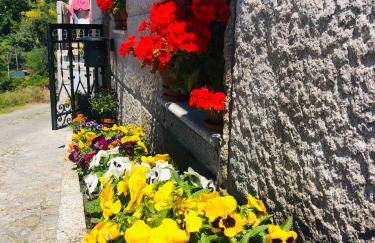 dourobluehouse - Foto 14