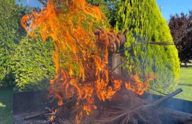 Espacio Shangrila.One - Foto 24