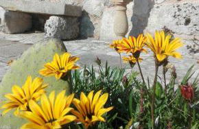 Palacca, trullo salentino - Foto 22