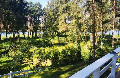 Sosnowy Azyl - Foto 18