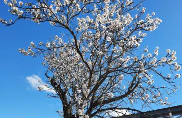 Casa La Aurora - Foto 18