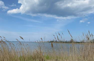 Urlaub "Unterm Storchennest" im Ostseeland Rerik - Foto 36