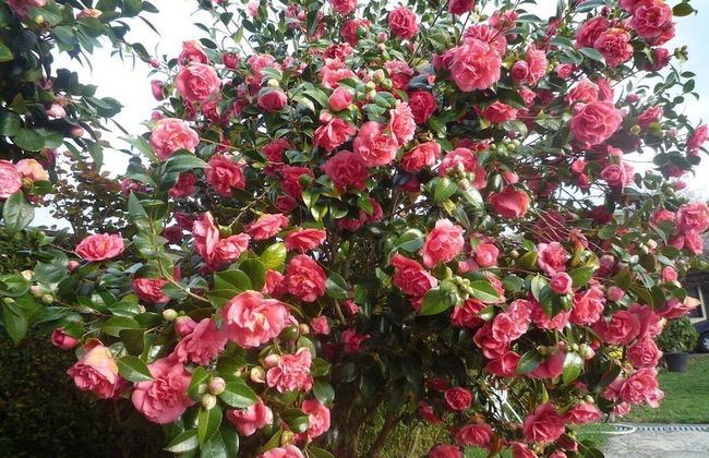 Casa Das Pias - Photo 29