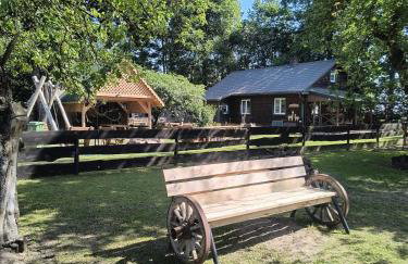 Gospodarstwo agroturystyczne alpaki Pituchówka - Foto 1