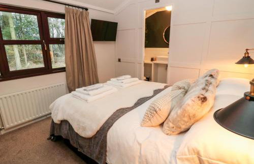 The Treeline - Foto 27