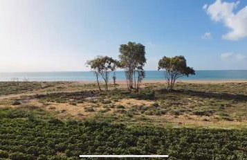 Boho Vibes Beachfront Detached House - Foto 9