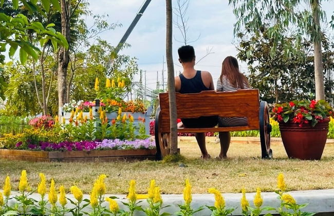 Pandora's Nest - Foto 67