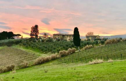 Laura Chianti Vacanze - Photo 1