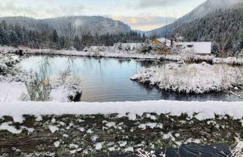 Le Perchoir du Grand Valtin - Gîte 9 personnes - Altitude 830 - Foto 33