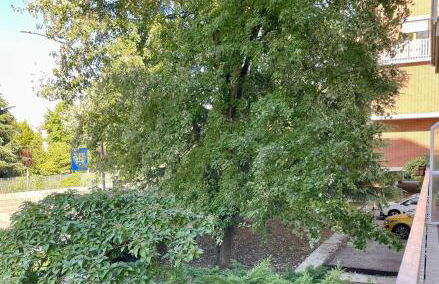 Il nido di Sonia - Foto 17