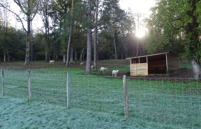 Les Gîtes de Petrocoriis - Foto 72