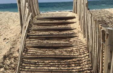 Le Club des Cigales - Foto 79