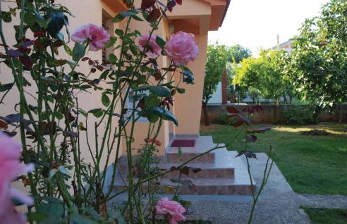 Studio Apartments Izabela - Photo 6