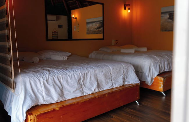 Palm Valley Cabins - Foto 51