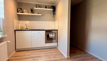 Appartement 2 - Gemütliche Wohnung mit Küchenzeile, Bad und großer Terrasse - Foto 4