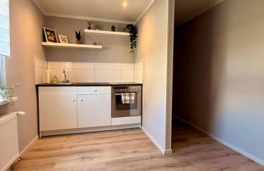 Appartement 2 - Gemütliche Wohnung mit Küchenzeile, Bad und großer Terrasse - Foto 4