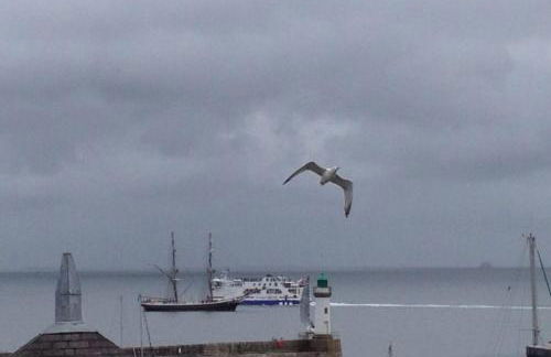 Bel appartement centre Le Palais - Photo 37