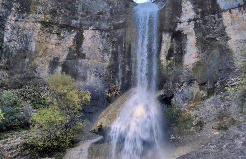 L'envol des papillons - Foto 26