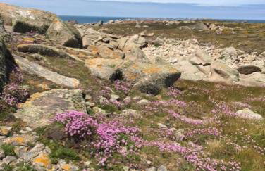 Belle vue sur mer - Foto 28