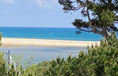 Appartement pour 4 pers, proche plage, parking, terrasse, commerces à proximité - FR-1-81-559 - Foto 1