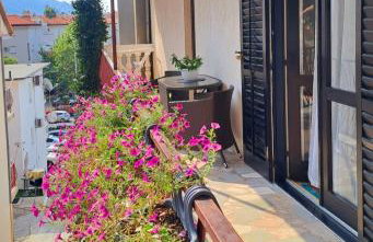 Apartmani ANITA - Photo 12