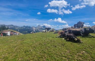 Alpenglück - Foto 22