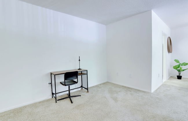 Apt Near Airport in Crystal City - Photo 20