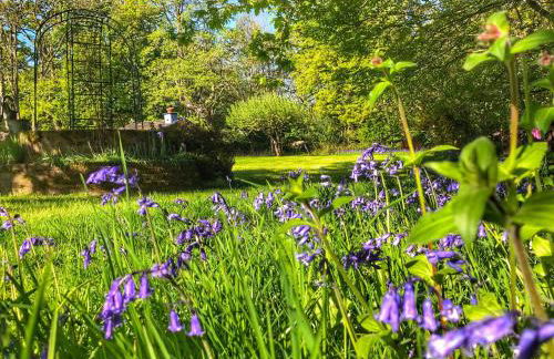 Daweswood - Luxury cottage, lake access & hot tub - Foto 31