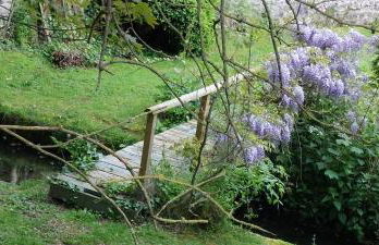 BEL APPARTEMENT CENTRE VEULES LES ROSES 1 CHAMBRE MER 300 M - Foto 13