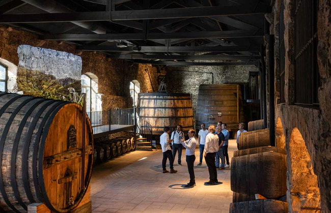 Visita a la bodega Burmester - Foto 7