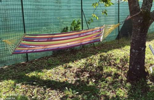 studio avec terrasse "Le Loup" - Foto 24