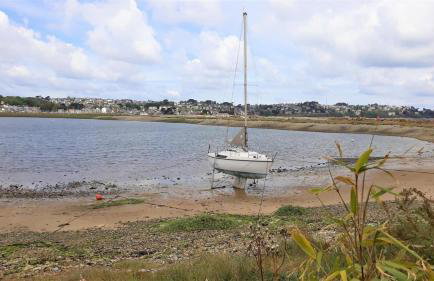 Les hortensias - Foto 26