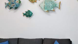 Calamilloraptm - Foto 3