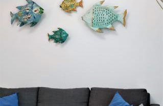 Calamilloraptm - Foto 3