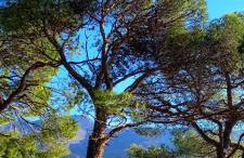 Porto Vito - Foto 12