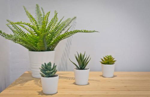 Malleus House - Foto 43