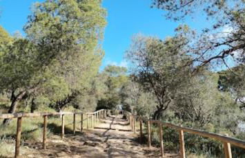 Villa Gamundi 6 - Photo 49