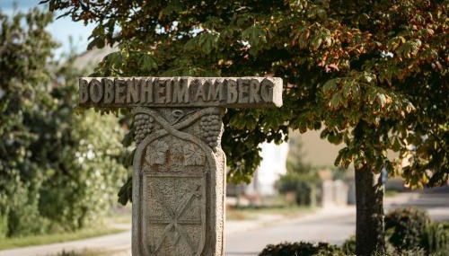 Ferienwohnung Steuerwald - Photo 1