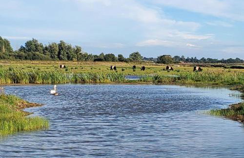 1 Bed in Beccles oc-90192 - Photo 25