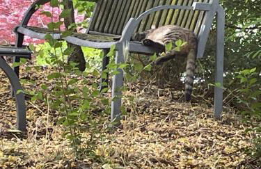 Agriturismo Ai Gradoni - Foto 6