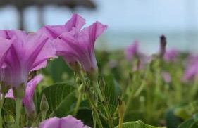 FLAT RIOMAR - Foto 38