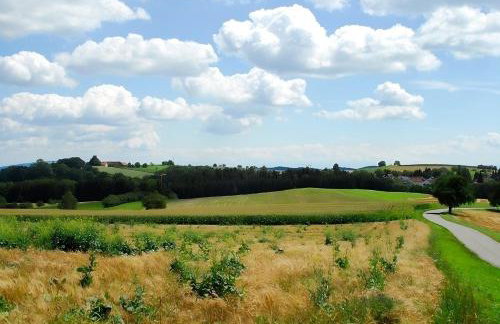 Mayer Burghöfe - Photo 27