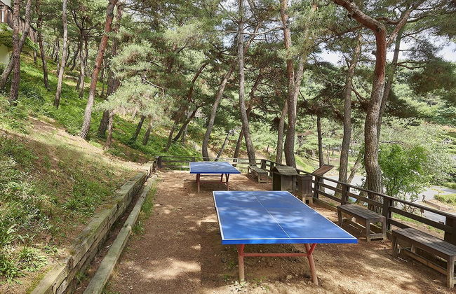 Club ES Jecheon Resort - Foto 28