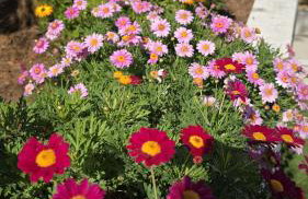 Anzuelo - Apartamento con piscina privada y jardín cerca de la playa aire acondicionado - Foto 28