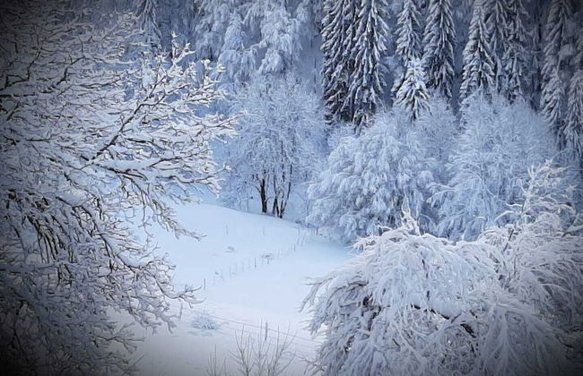 Gites Les Loges d'Arbez - Foto 25