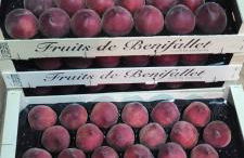 Casa Rural Casa Puntes - Photo 24